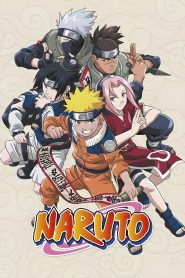 Naruto (Season 1-9)